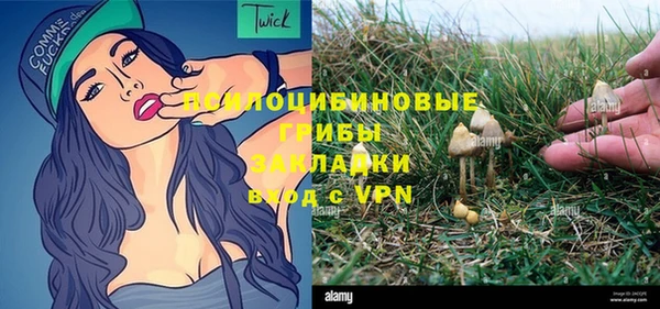 герыч Бронницы