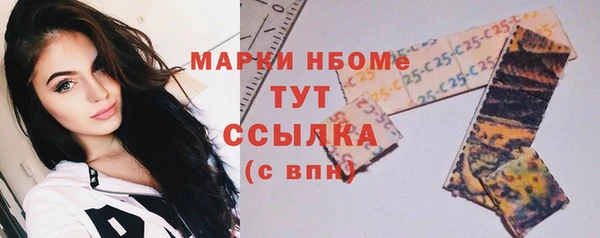 индика Бугульма