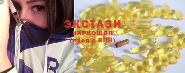 индика Бугульма