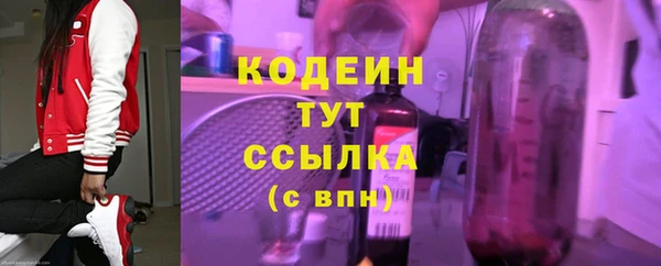 стаф Бородино