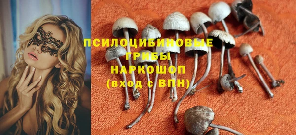 стаф Бородино