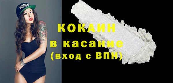 индика Бугульма