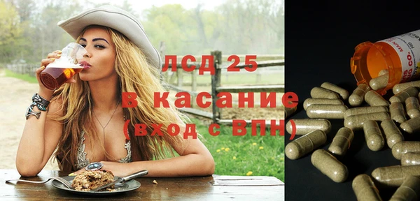стаф Бородино