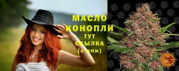 стаф Бородино