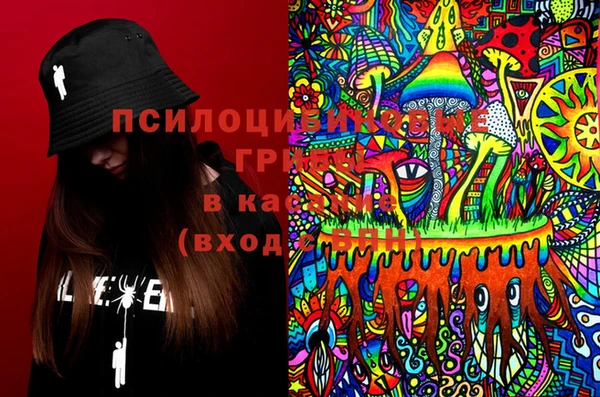 стаф Бородино