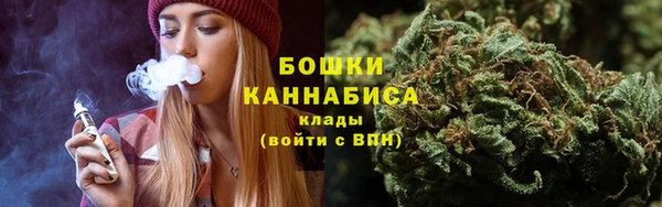 метадон Каменногорск