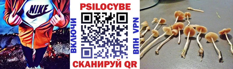 Псилоцибиновые грибы Cubensis  Орехово-Зуево 